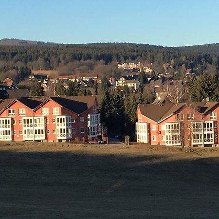 Apartment Gosch An Der Skiwiese Braunlage Exteriér fotografie